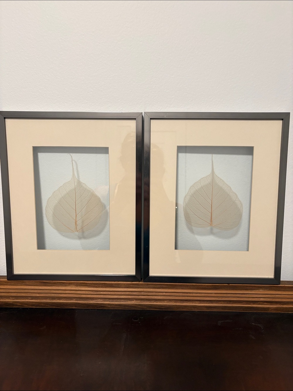 Neutral Skeleton Leaf Framed Wall Art - Set of 2